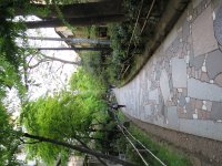 IMG_0325.JPG